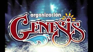 ORGANIZACION GENESIS  SAN LUIS POTOSI [upl. by Jobe]