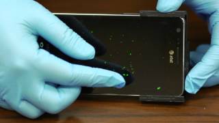 Cell phonebased sensor spots dangerous bacteria [upl. by Marjy]