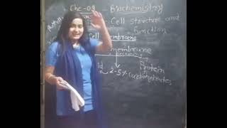 Cell Membrane  NCERT  biochemistry 💞Study karo❤️se💞 [upl. by Eanil]