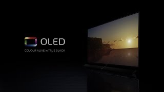 Introducing Panasonic OLED TV [upl. by Lundberg]