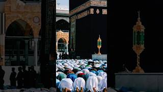 Wo Mera Nabi Hai madina 4k status 2024 islamicstatus naat youtubeshorts islamic shorts [upl. by Moira469]