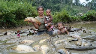 How to harvest longterm fish ponds and bring them to the market to sell with your children [upl. by Ydissak]