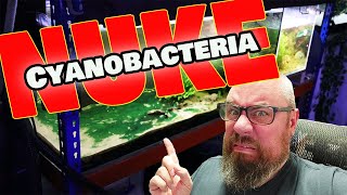 Remove Cyanobacteria from your aquarium in minutes  FOR GOOD [upl. by Norda620]