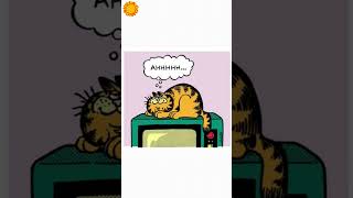 Garfield TV is Fun  Garfield Comics Dubbed [upl. by Braunstein]