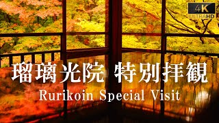 4K 【秋の特別拝観】京都 瑠璃光院の紅葉 quotKyoto Rurikoin Templequot Autumn leaves quotSpecial Visitquot [upl. by Kristin]