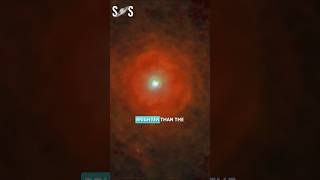 Betelgeuse supernova explosion 2024 shorts astronomy betelgeuse [upl. by Llenil447]