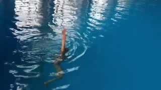 Eggbeater Exercise Synchronized Swimming [upl. by Boulanger699]