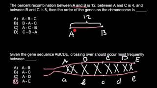 How to find order of the genes on chromosome [upl. by Donough]