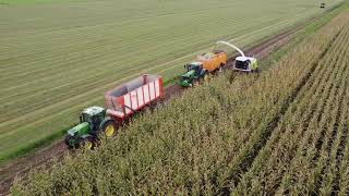 Mais hakselen 24 l Loonbedrijf Riphagen Vaassen l John Deere l Claas l 6215R l 6210R l rups dumper [upl. by Manella]