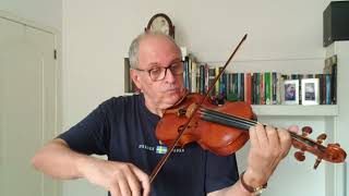 Goodbye Yellow Brick Road Elton John  Cover Violin LAA Moura [upl. by Etep]