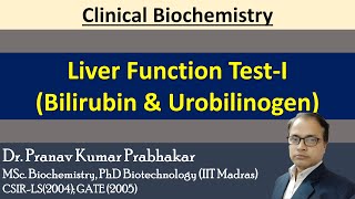 Liver Function Tests LFT With Clinical Interpretation [upl. by Aynor]