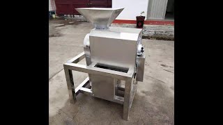 Tamarind seed removal machine fruit seed remover machine [upl. by Tobiah]