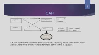 Lecture 11 Contrastive analysis Prof Touria Drid [upl. by Leslee]