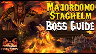 MAJORDOMO STAGHELM BOSS GUIDE  CATACLYSM CLASSIC [upl. by Yahc]