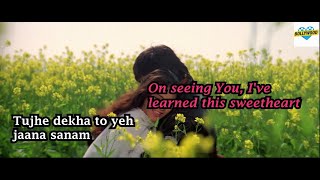 Thuje Dheka Thoye Jana Sanam  English Translation  Lyrics [upl. by Garaway433]