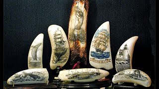 Scrimshanders Gallery  Honoring the CenturiesOld Art of Scrimshaw [upl. by Yenaj]