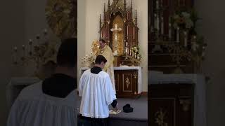 Benediction of the Blessed Sacrament on the Feast of Christ the King in Pottstown PA catholicism [upl. by Crosley592]