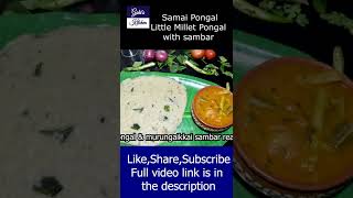 Shorts  Weight loss recipe in tamil  Samai Pongal  Little Millet Pongal  Drumstick Sambar [upl. by Walburga]