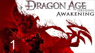 Vigils Keep  Dragon Age Origins  Awakening  Part 1 [upl. by Koralle]