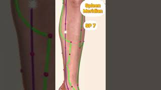 The Spleen Channel Acupuncture Points [upl. by Kreda133]