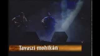 Ákos  Tavaszi mohikán Indiántánc koncert [upl. by Alolomo]