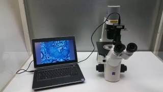 Carl Zeiss Primovert Trinocular Inverted Microscope 415510 BF Phase Contrast  10719 [upl. by Knight297]