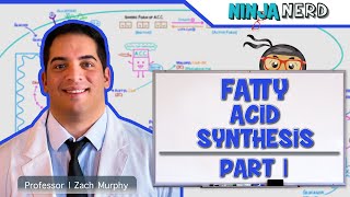 Metabolism  Fatty Acid Synthesis Part 1 [upl. by Adnilasor]