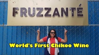 Worlds First Chikoo Winery  Fruzzante Winery  Wine made from fruits [upl. by Cai]