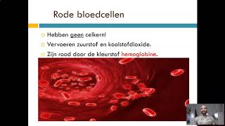 Bloedsomloop Bloedsamenstelling [upl. by Fiedling]