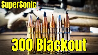 SuperSonic 300 Blackout Test  Ruger American Ranch Gen 2 [upl. by Akissej]