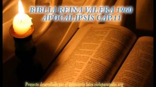 Biblia HabladaBIBLIA REINA VALERA 1960 APOCALIPSIS CAP 11 [upl. by Merc]