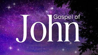 Gospel of John  Abide Audio Bible Holy Bible Audio [upl. by Nsaj406]