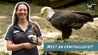 Ornithologist Bird Scientist  WunderSTEM Ep 102  Career Exploration [upl. by Adim]