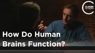 Colin Blakemore  How Do Human Brains Function [upl. by Egiaf]