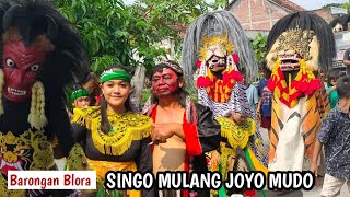 SERU BARONGAN BLORA SINGO MULANG JOYO MUDO SEDEKAH BUMI NGAMPON BERAN [upl. by Imrots]