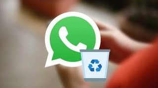 Cómo Recuperar Datos Borrados De WhatsApp  UltData [upl. by Ylrebmek401]