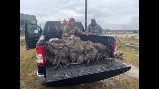 Nutria Rat Hunting in Louisiana with Swamp People [upl. by Yordan869]