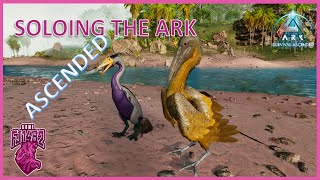 Taming Ichthyornis and Hesperornis Soloing ARK Ascended Ep 72 [upl. by Bekelja]