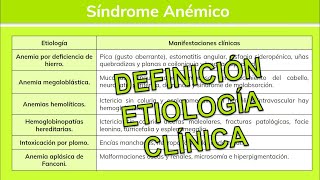 ⚕️🩺 Síndromes Hematológicos SÍNDROME ANÉMICO Y SÍNDROME HEMORRÁGICO  Hematología [upl. by Arissa]