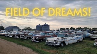 Dealership Cars Abandoned in Field for Decades Sold at Auction Classic Oldsmobile Pontiac Buick [upl. by Leirvag]