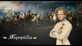 Napoléon II lAiglon  Pourquoi natil pas régné [upl. by Sueaddaht]