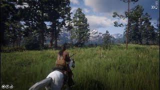 Red Dead Redemption 2 Horse Hunting No Dead eye [upl. by Domonic]