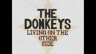 The Donkeys  Dolphin Center [upl. by Atiseret]