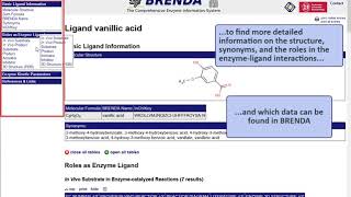 BRENDA enzyme database  Ligand Search [upl. by Axela]