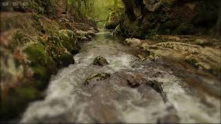 Relaxing Rain amp Soothing River Sounds Near a Beautiful Waterfall in the Rocky Mountains  10 Hours [upl. by Anerok]