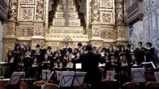 «Bonum est» e «Cantate Domino» de Robert Führer Coro Igreja de S Victor Braga [upl. by Anniken]