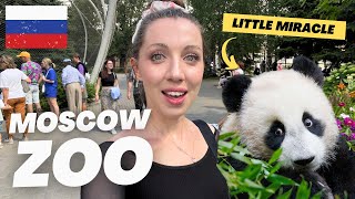 FIRST TIME IN MOSCOW ZOO MEET RUSSIAN PANDA KATYUSHA 🇷🇺 🐼 [upl. by Shreeves]