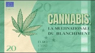 Cash Investigation Cannabis la multinationale du blanchiment 💸 Intégral Octobre 2019 [upl. by Atsirhcal]