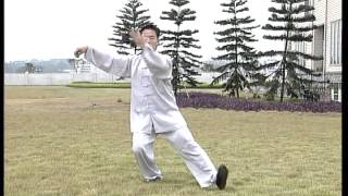 Meravigliosa esecuzione di forma Tai Chi  stile yang [upl. by Cathie]