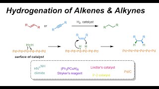 Hydrogenation of Alkenes amp Alkynes IOC 32 [upl. by Sueddaht]